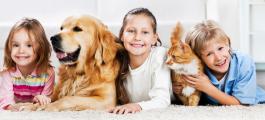 kids-clean-tiles-carpet.jpg